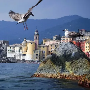 Il Veliero , Camogli Italy